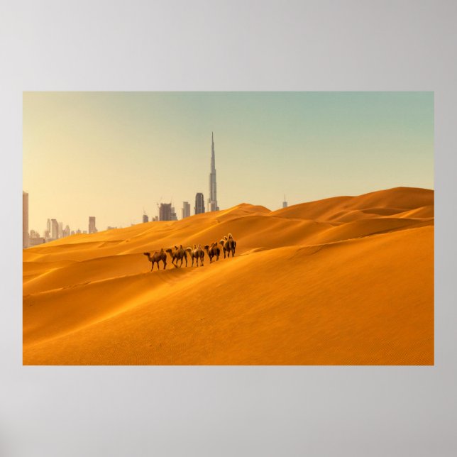 Póster Desiertos | Vista aérea de Dubai con camellos (Frente)