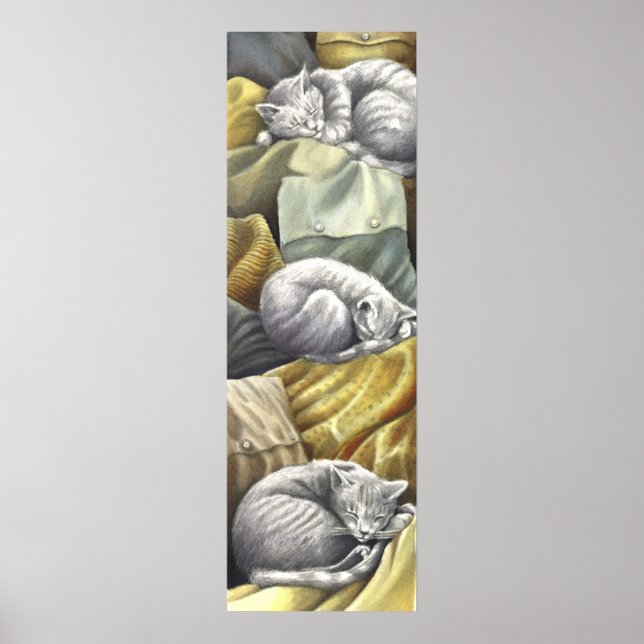 Póster deslizar (Frente)