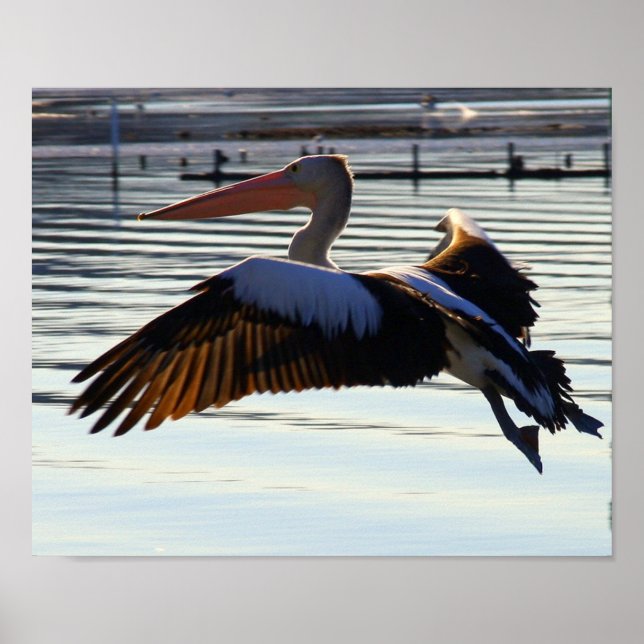 Póster deslizar (Frente)