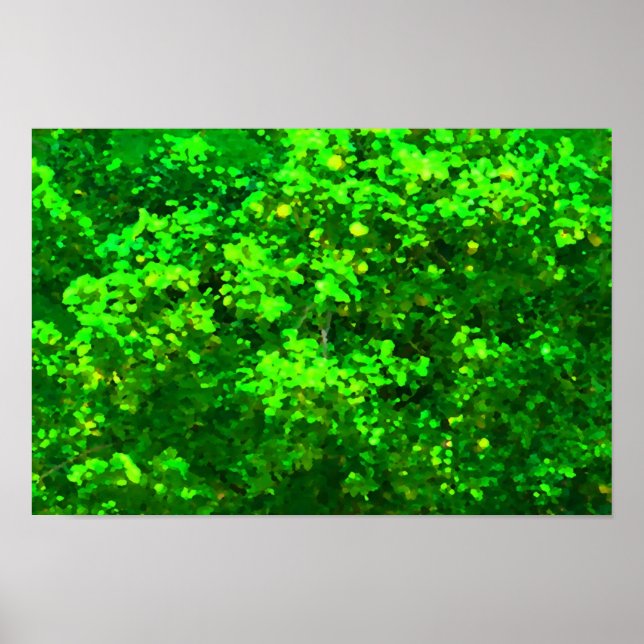 Póster Deslumbrar (Frente)