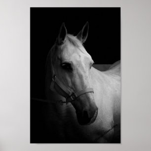 Póster Deslumbre