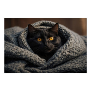 Póster Desnudo gato negro y manta