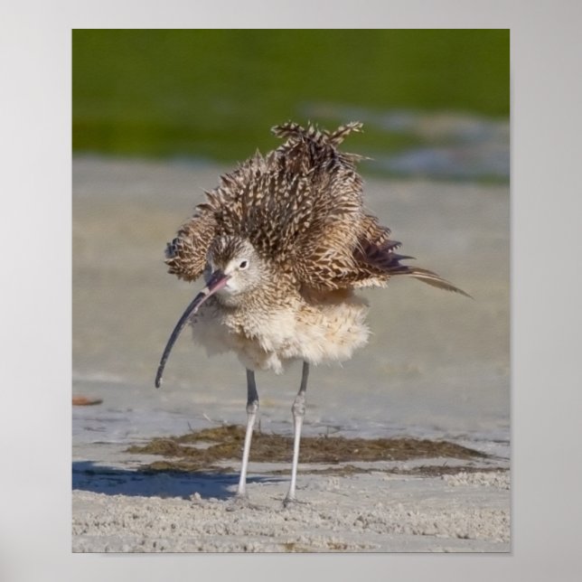 Póster desordenado (Frente)