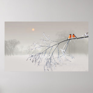 Póster Desorientación