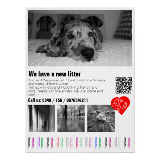 Póster despegable personalizado de cachorro de Gra