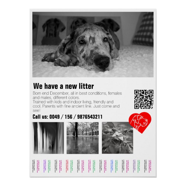 Póster despegable personalizado de cachorro de Gra (Anverso)