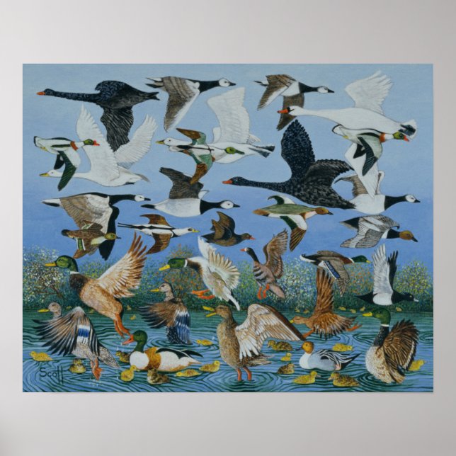 Póster Despegar 1996 (Frente)