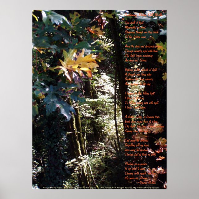 Póster Despertar el valor de un ser divino (Frente)