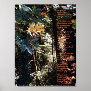 Póster Despertar valor divino del uno mismo