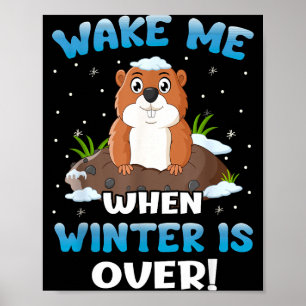 Póster Despiértame Cuando El Invierno Se Acaba Funny Grou