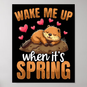 Póster Despiértame Cuando Sea Primavera Divertido Día de