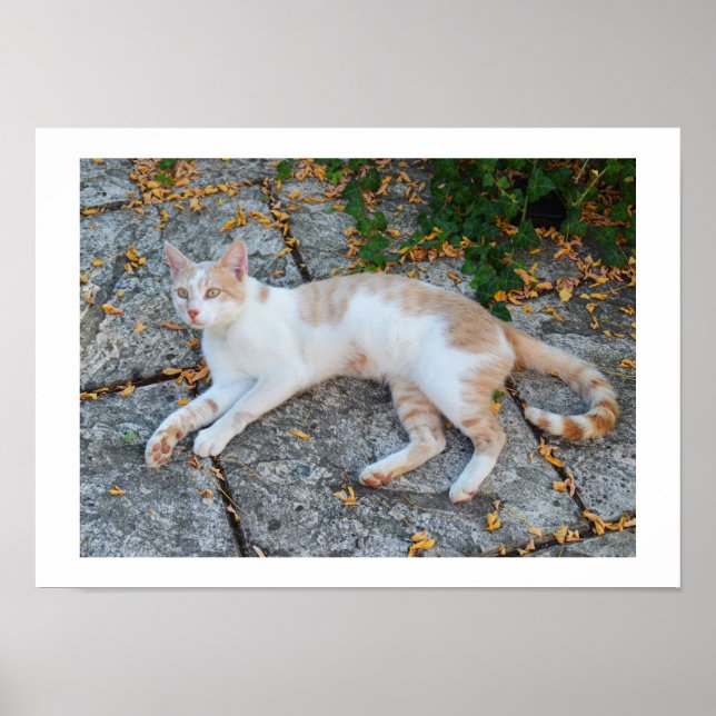 Póster Despierto afortunado (Frente)