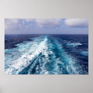 Póster Despierto de crucero