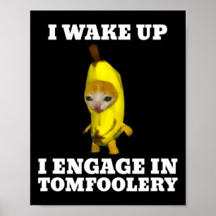 Póster Despierto Me Involucro En El Meme Del Gato Tomfool