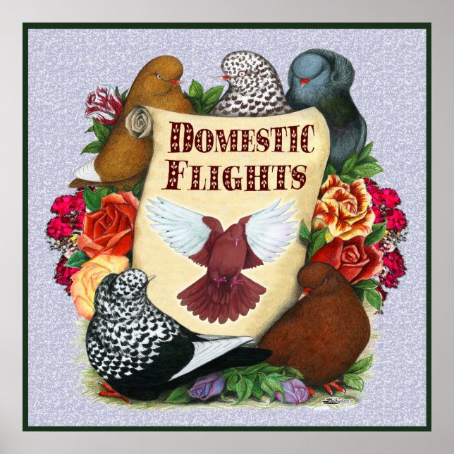 Póster Desplazamiento de vuelo doméstico (Frente)