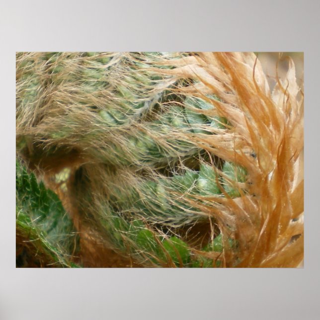 Póster Desplegable (Frente)