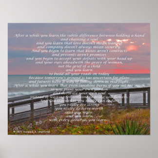 PÓSTER DESPUÉS DE AWHILE