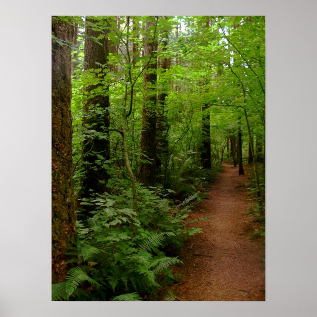 Póster después de la lluvia (Frente)