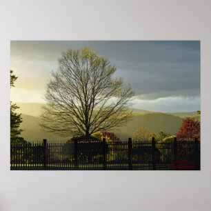 Póster Después de la lluvia