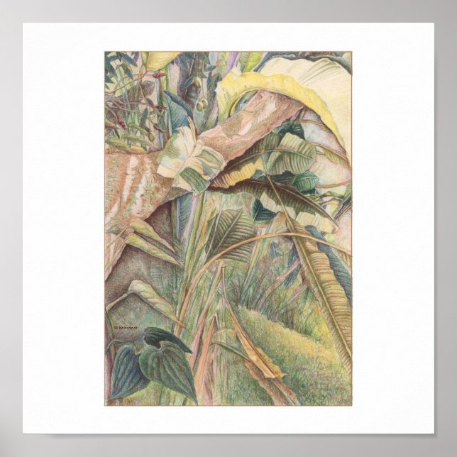 Póster Después De La Lluvia © 2010 (Frente)