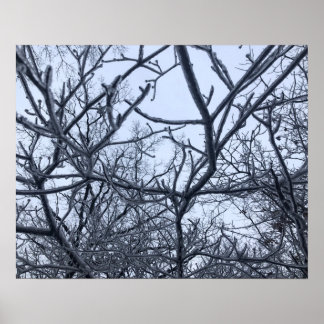 Póster Después De La Tormenta De Hielo