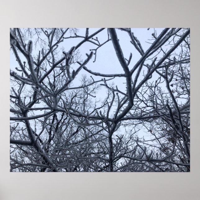 Póster Después De La Tormenta De Hielo (Frente)