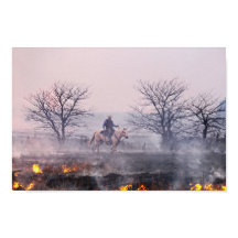 Después del incendio de Prairie, Flint Hills, Kans