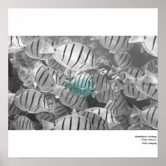 Póster Destacando de la multitud