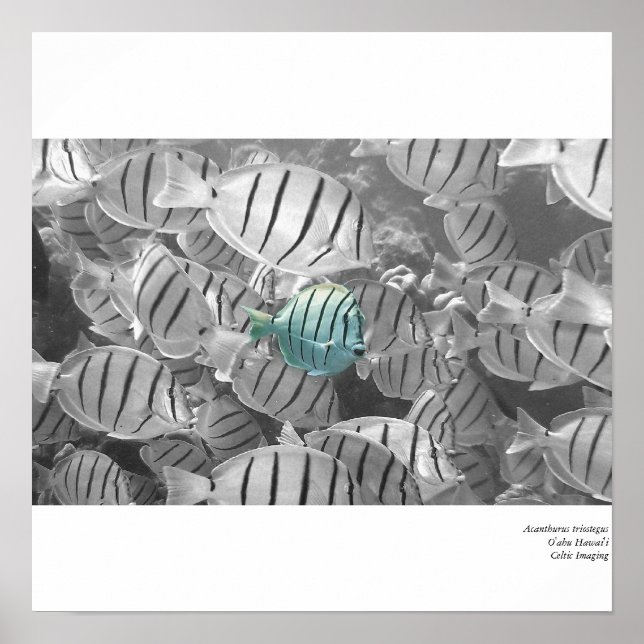 Póster Destacando de la multitud (Frente)