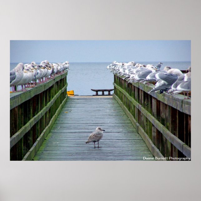 Póster Destacar en la multitud (Frente)