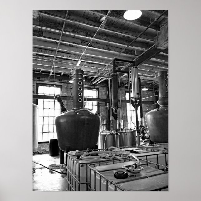 Póster Destilación De Fotos En Blanco Y Negro (Frente)