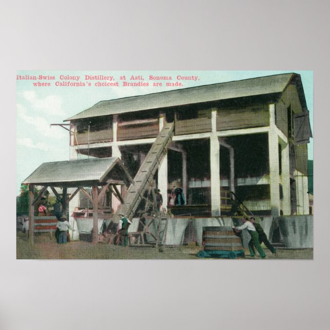 Póster Destilería de Brandy, Colonia Italiana-Suiza (Frente)