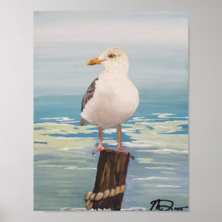 Póster Destin Seagull