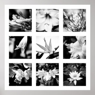 Póster Details of Nature series - Flowers poster