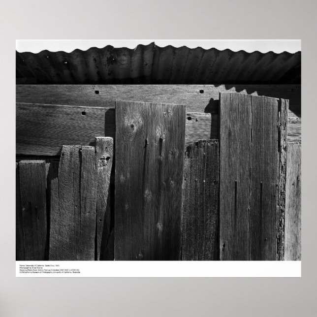 Póster Detalle de cerca, UC Santa Cruz, 1963 (Frente)