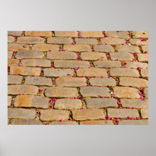 Póster Detalle de escalada de cemento