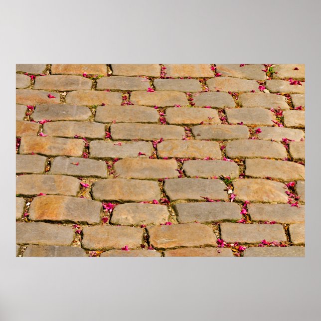 Póster Detalle de escalada de cemento (Frente)