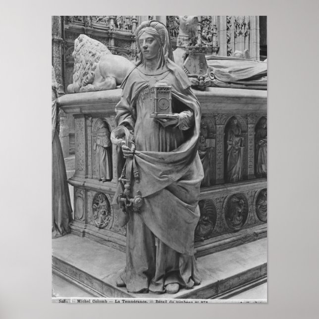 Póster Detalle de la temperatura (Frente)