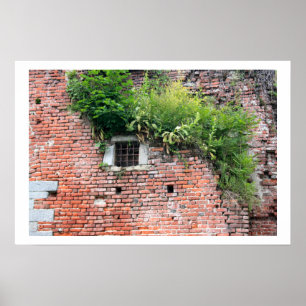 Póster Detalle de la ventana media