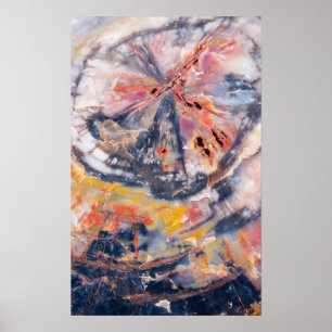 Póster Detalle de madera Petrificada, Arizona