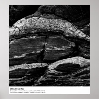 Póster Detalle del Cañón Profundo por Ansel Adams