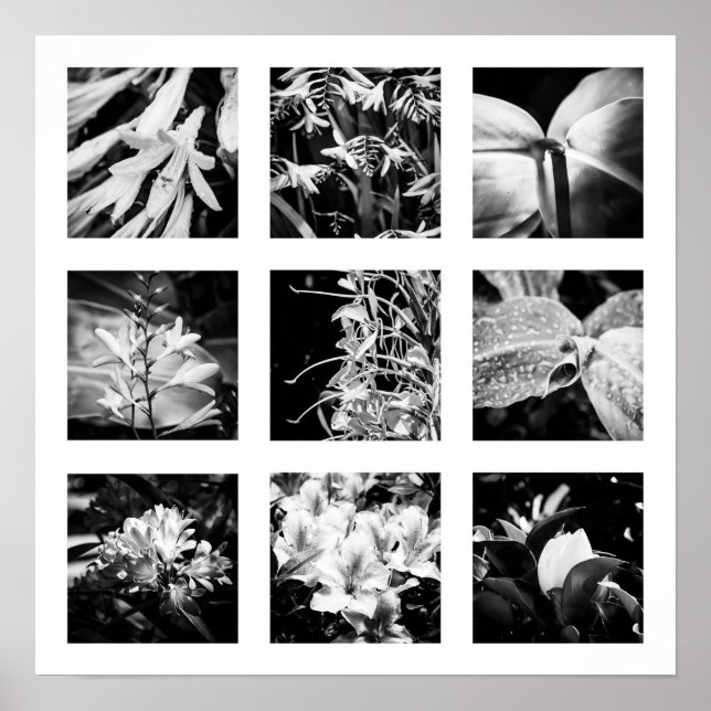 Póster Detalles de la serie Naturaleza - Flores 2 (Frente)