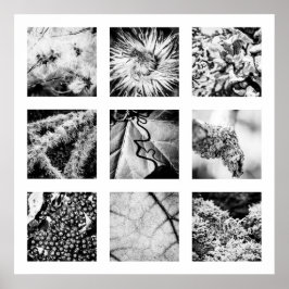 Póster Detalles de la serie Nature - Poster de Detalles