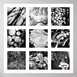 Póster Detalles de la serie sobre la naturaleza - poster