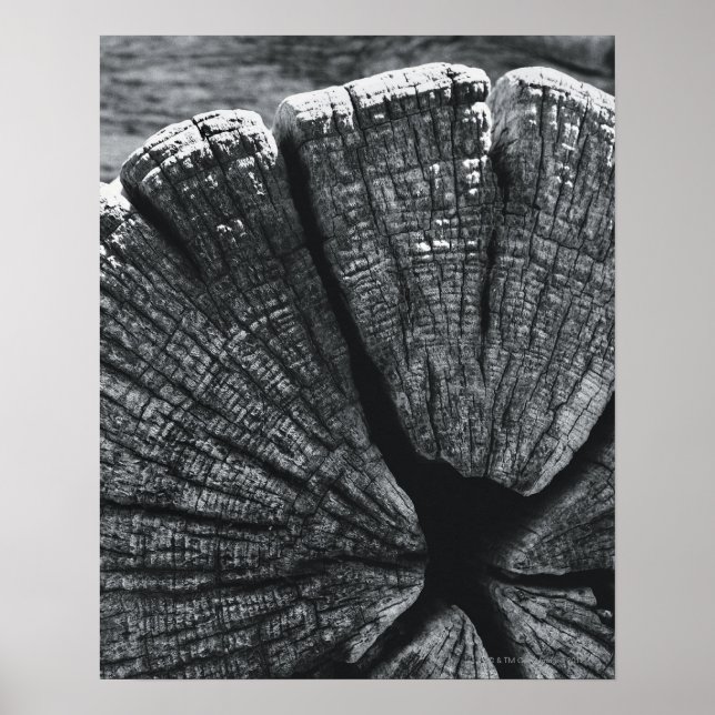 Póster Detalles de madera (Frente)