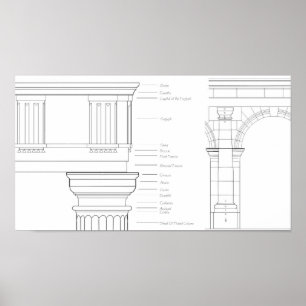 Póster Detalles de Vitruvian