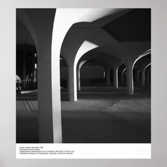 Póster Detalles del campus UCSD por Ansel Adams (Frente)