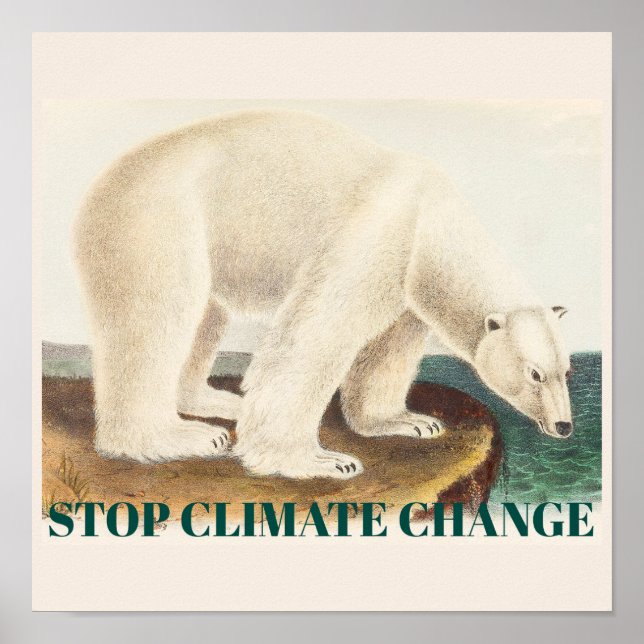 Póster Detener el cambio climático pone en peligro el oso (Frente)
