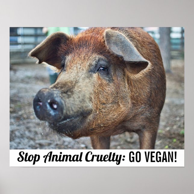 Póster Detener la crueldad hacia los animales se vuelve v (Frente)