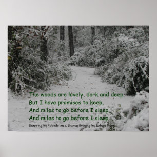 Póster Detener la nieve de Woods